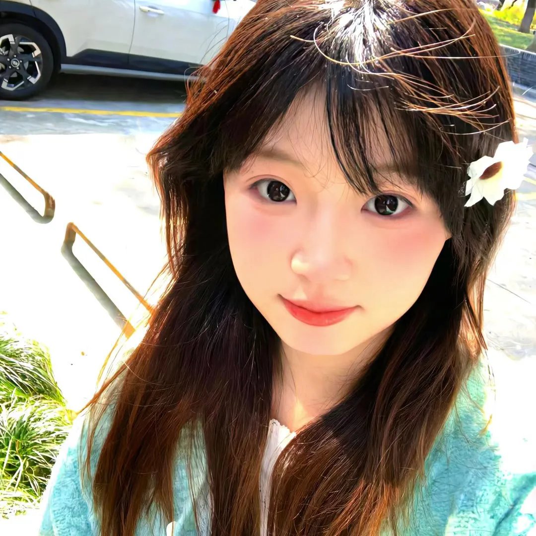 富贵吉娃娃